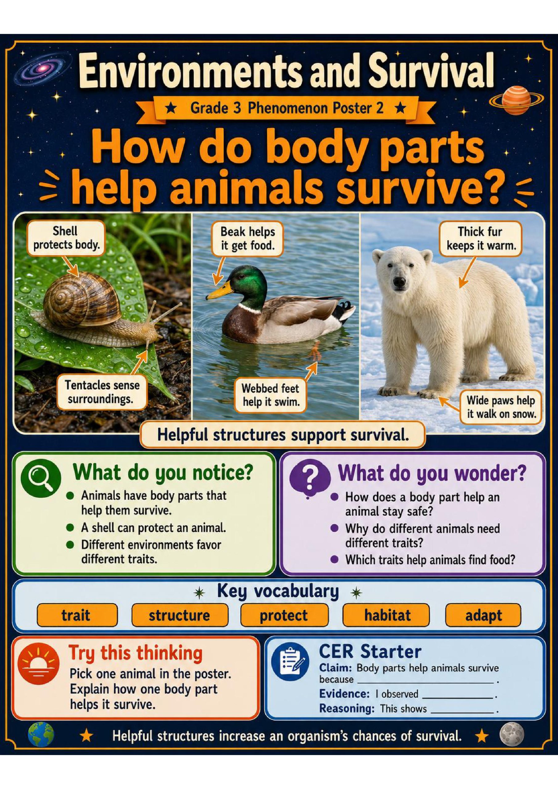Environments and Survival Phenomena Poster Set
