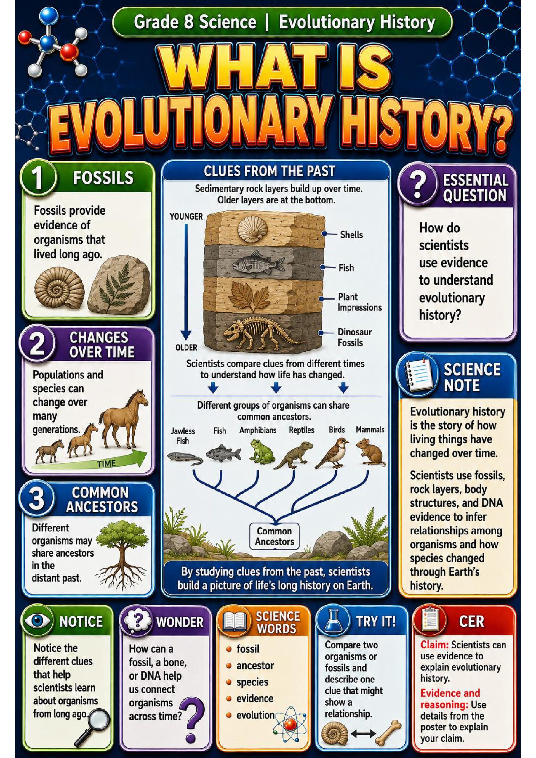Evolutionary History Phenomena Poster Set