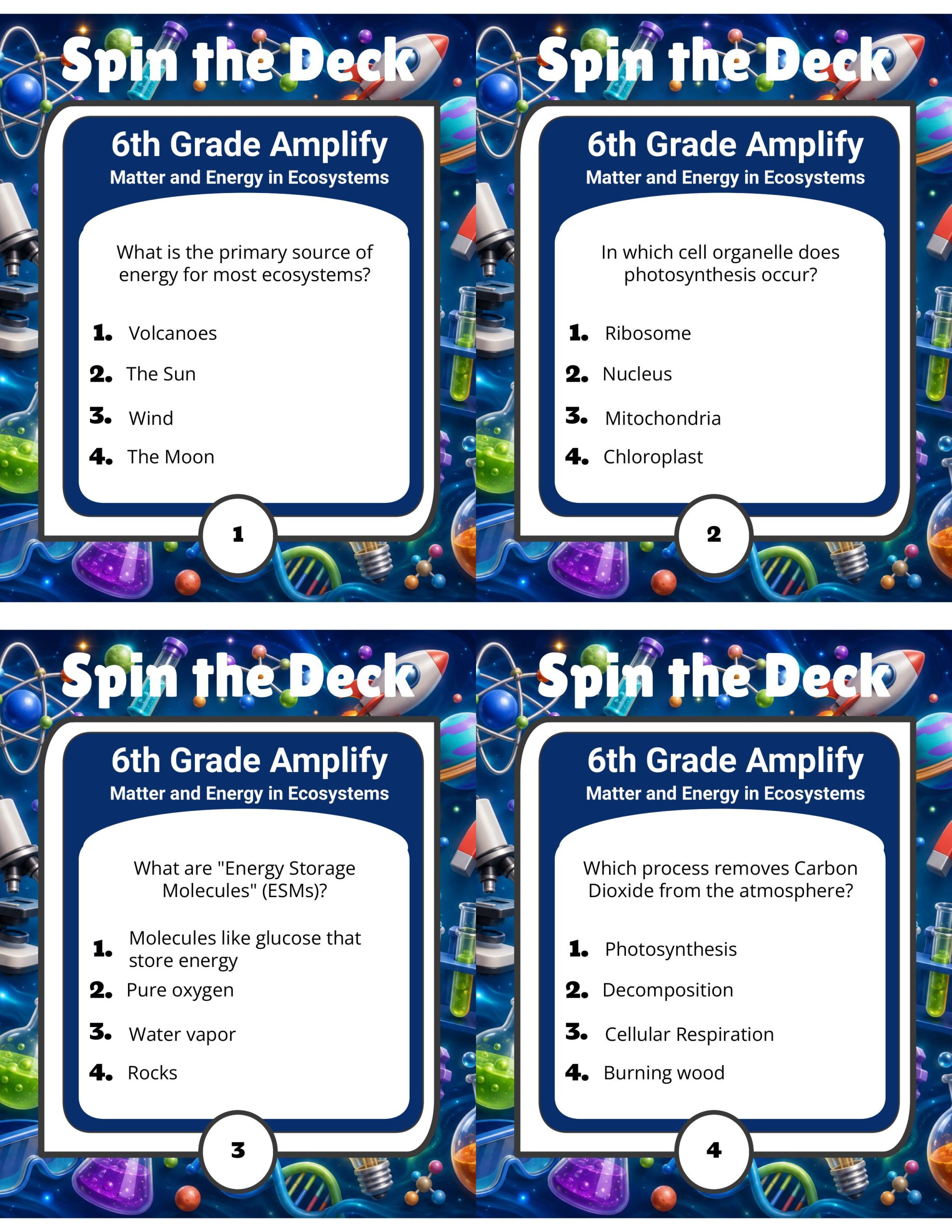 Spin the Deck – Grade 6 Amplify Science: Matter and Energy in Ecosystems