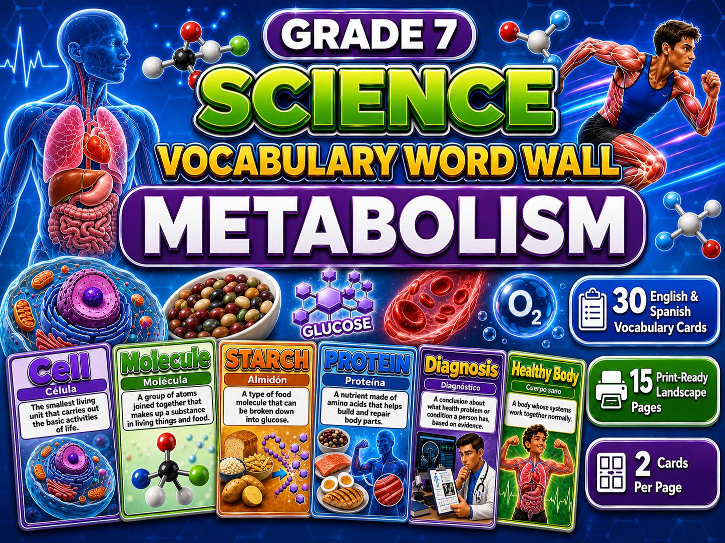 Grade 7 Science Metabolism Word Wall cover