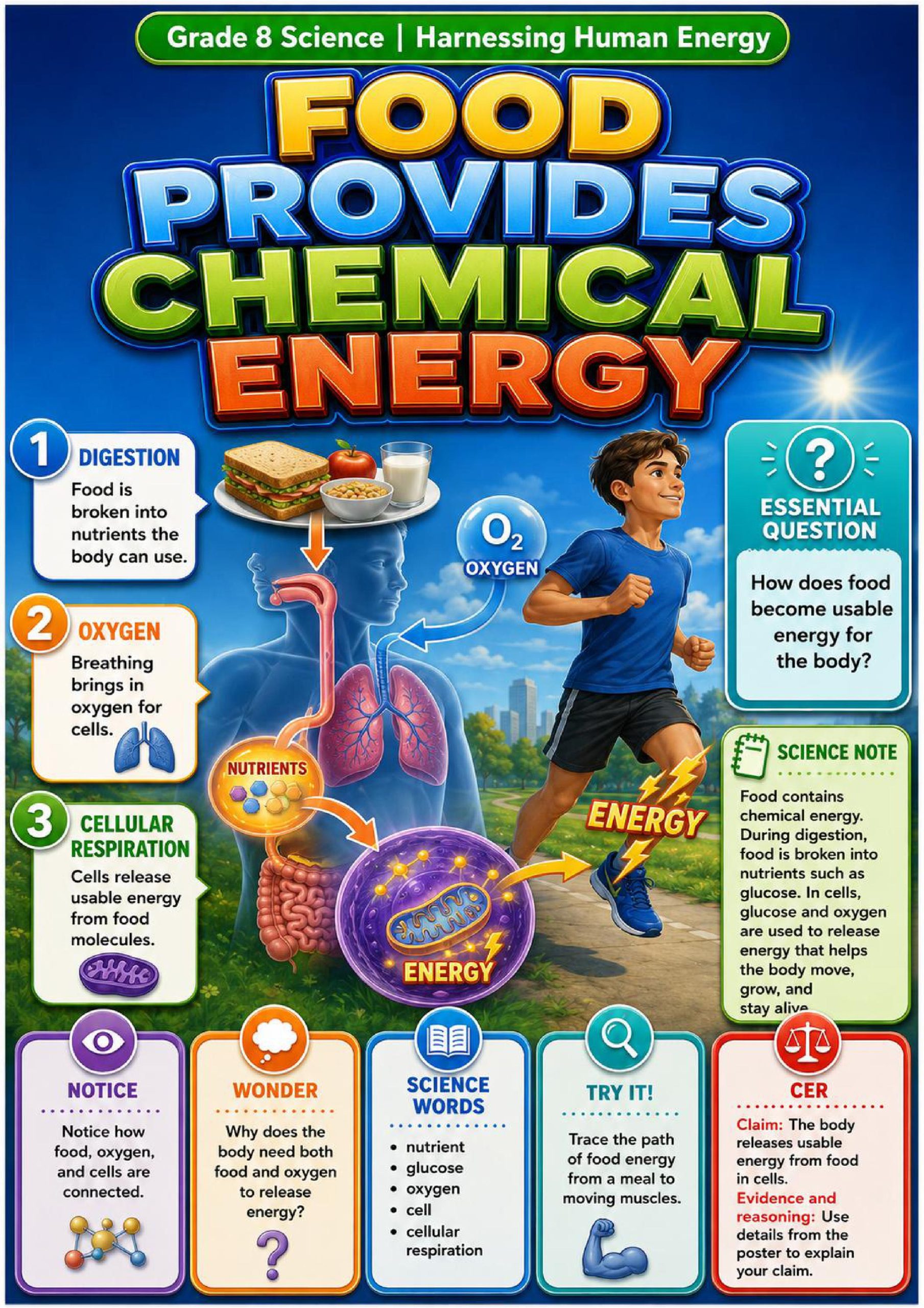 Harnessing Human Energy Phenomena Poster Set