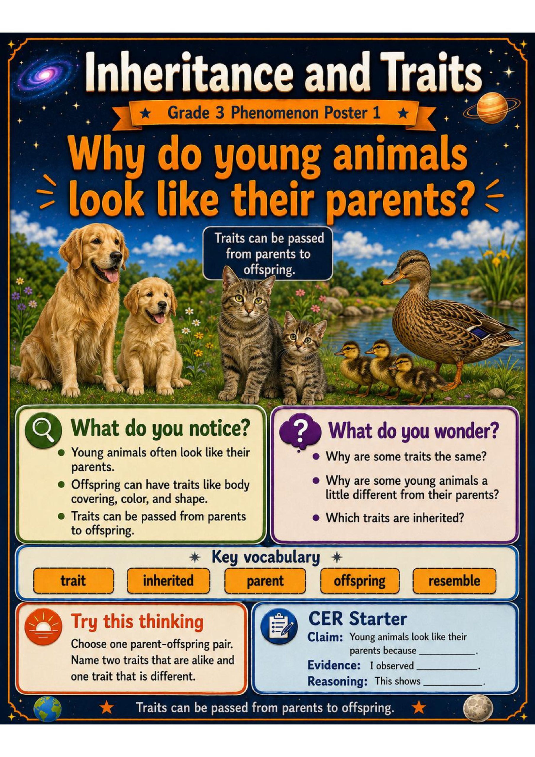 Inheritance and Traits Phenomena Poster Set