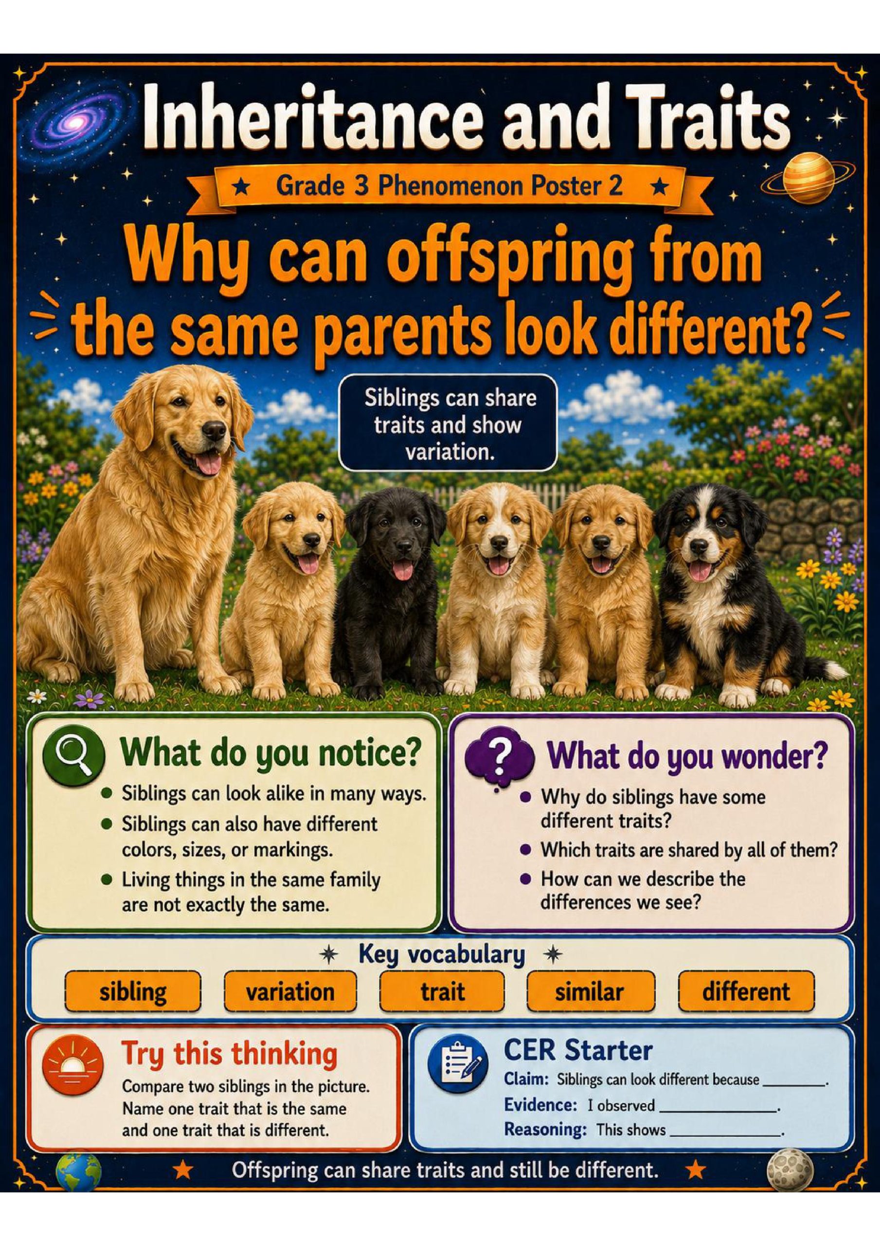 Inheritance and Traits Phenomena Poster Set
