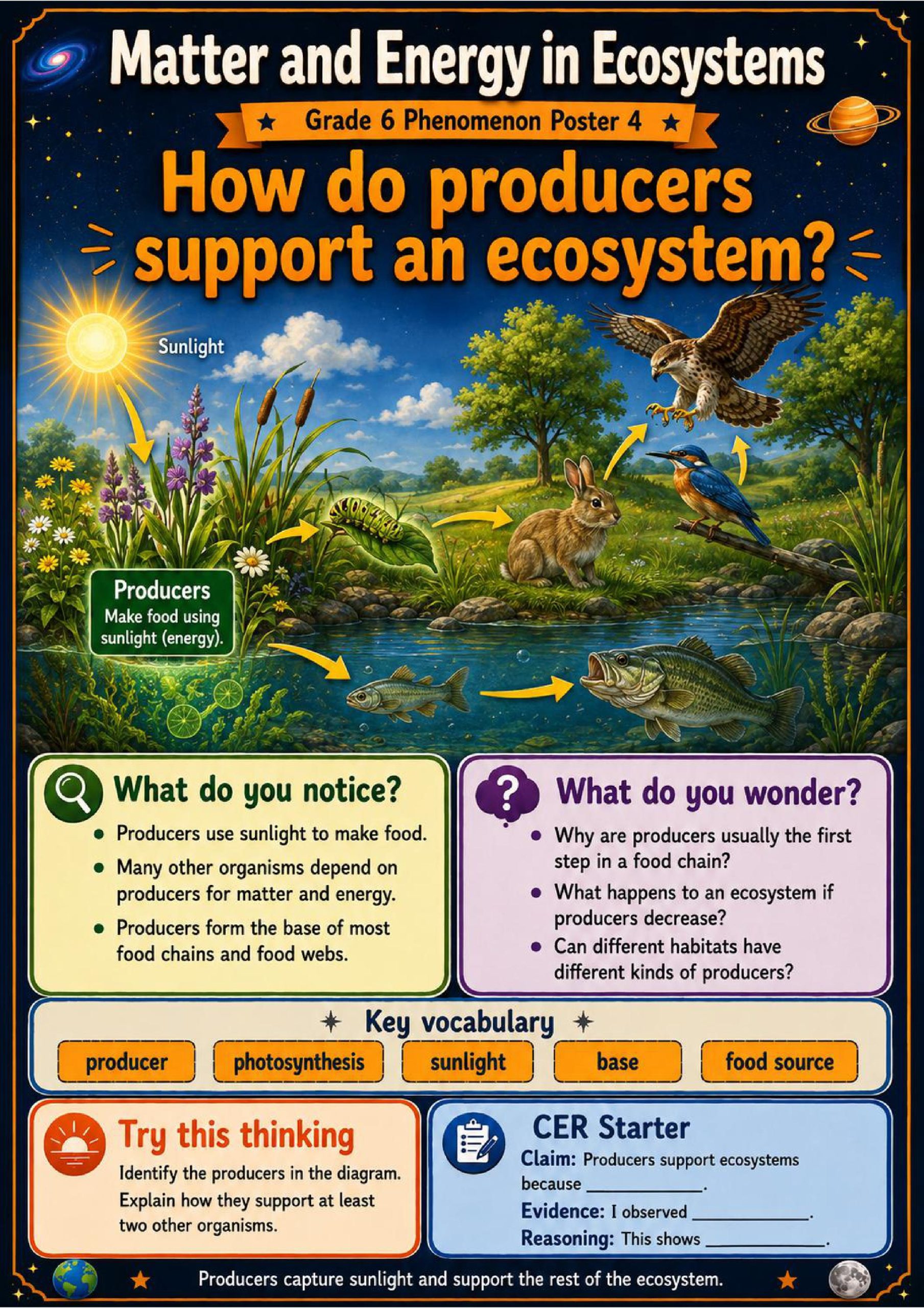 Matter and Energy in Ecosystems Phenomena Poster Set