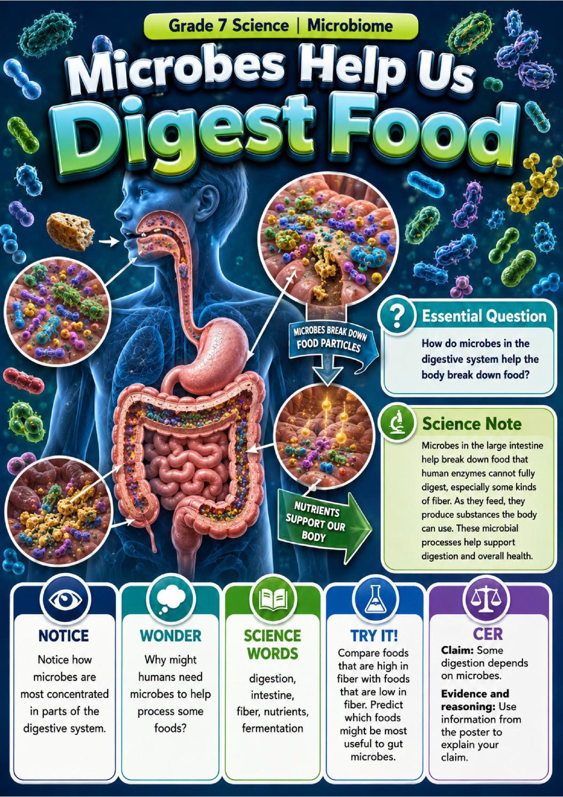 Microbiome Phenomena Poster Set
