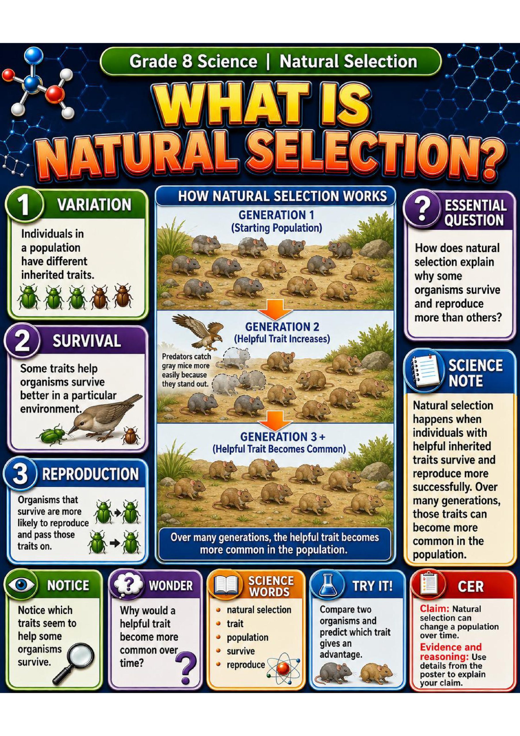 Natural Selection Phenomena Poster Set