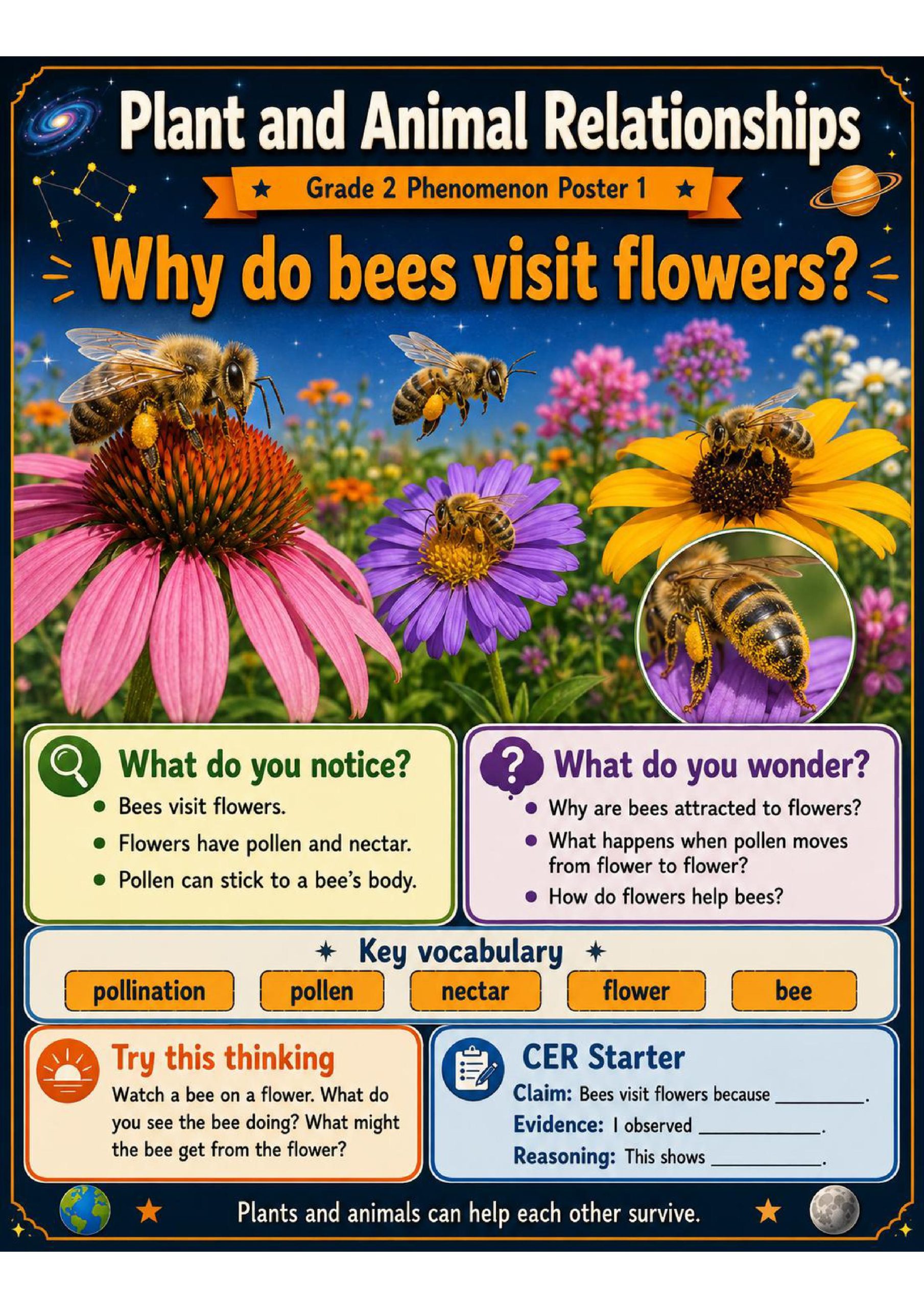 Plant and Animal Relationships Phenomena Poster Set