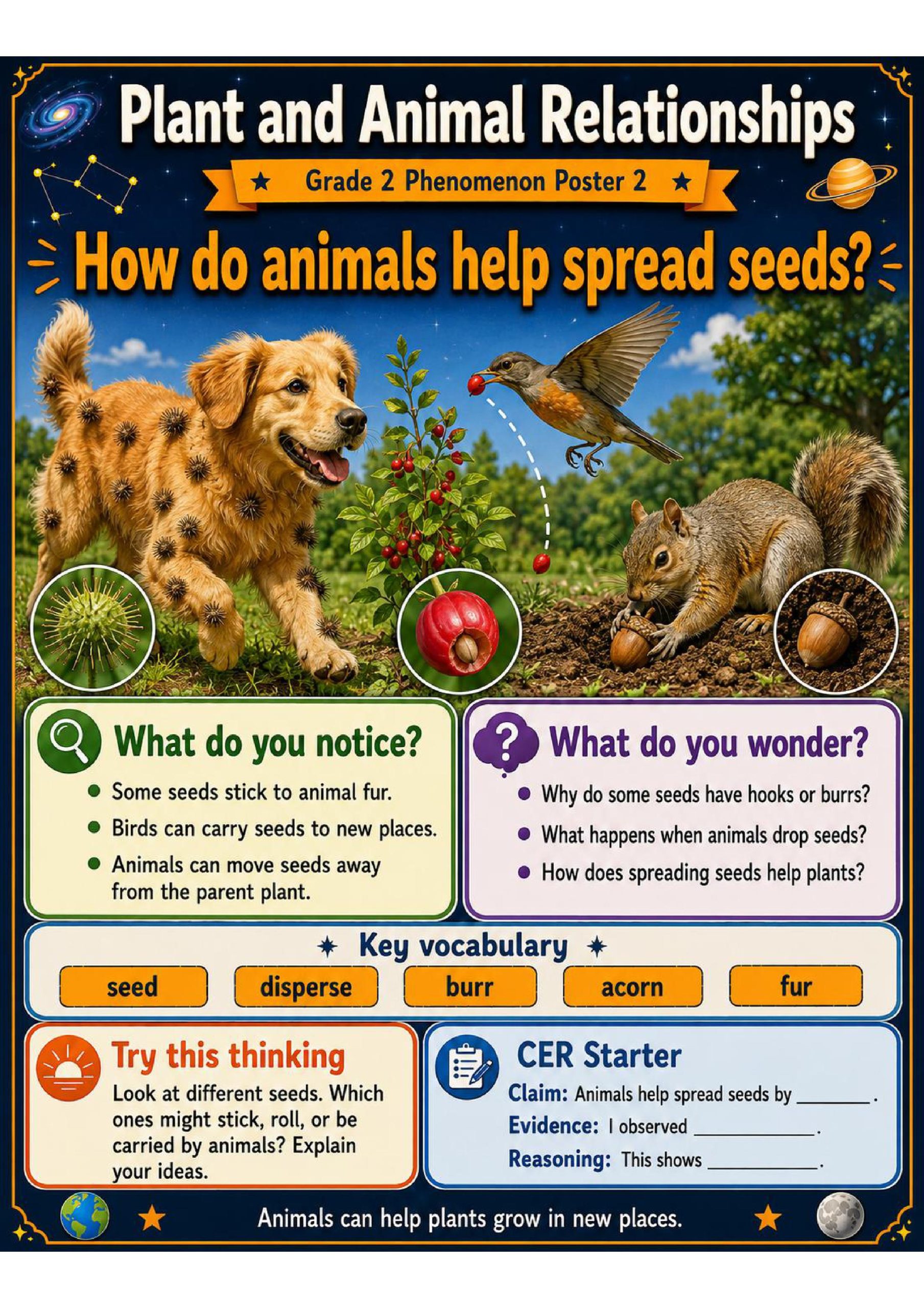 Plant and Animal Relationships Phenomena Poster Set