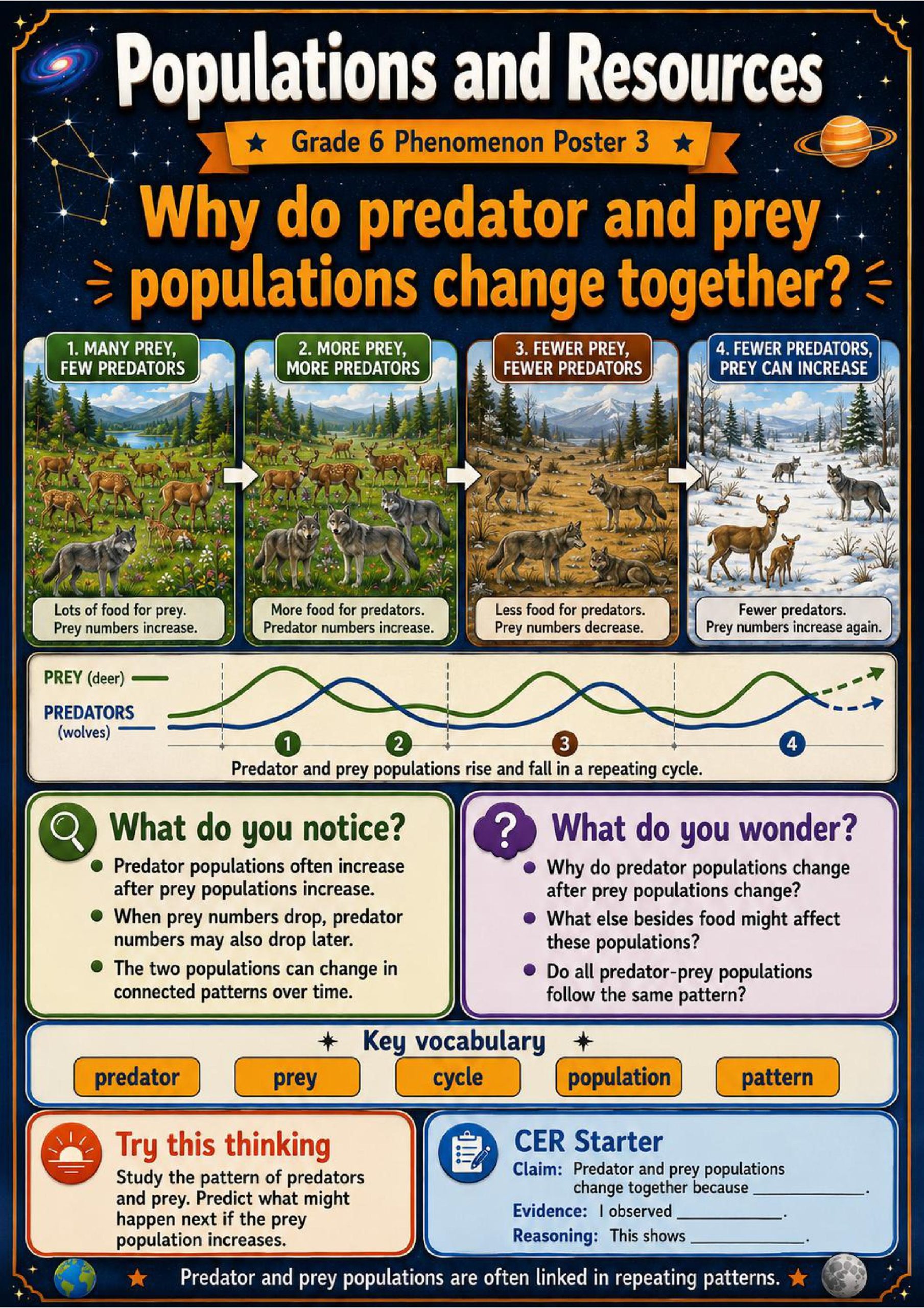 Populations and Resources Phenomena Poster Set