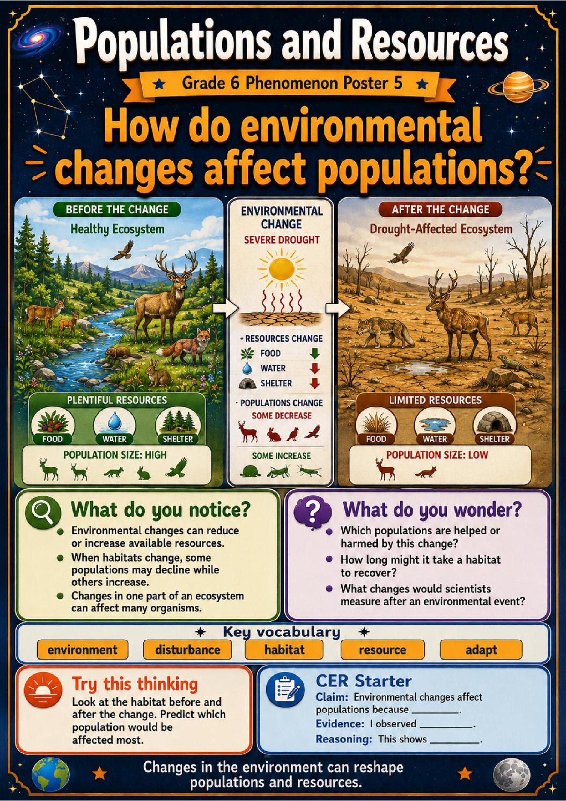 Populations and Resources Phenomena Poster Set