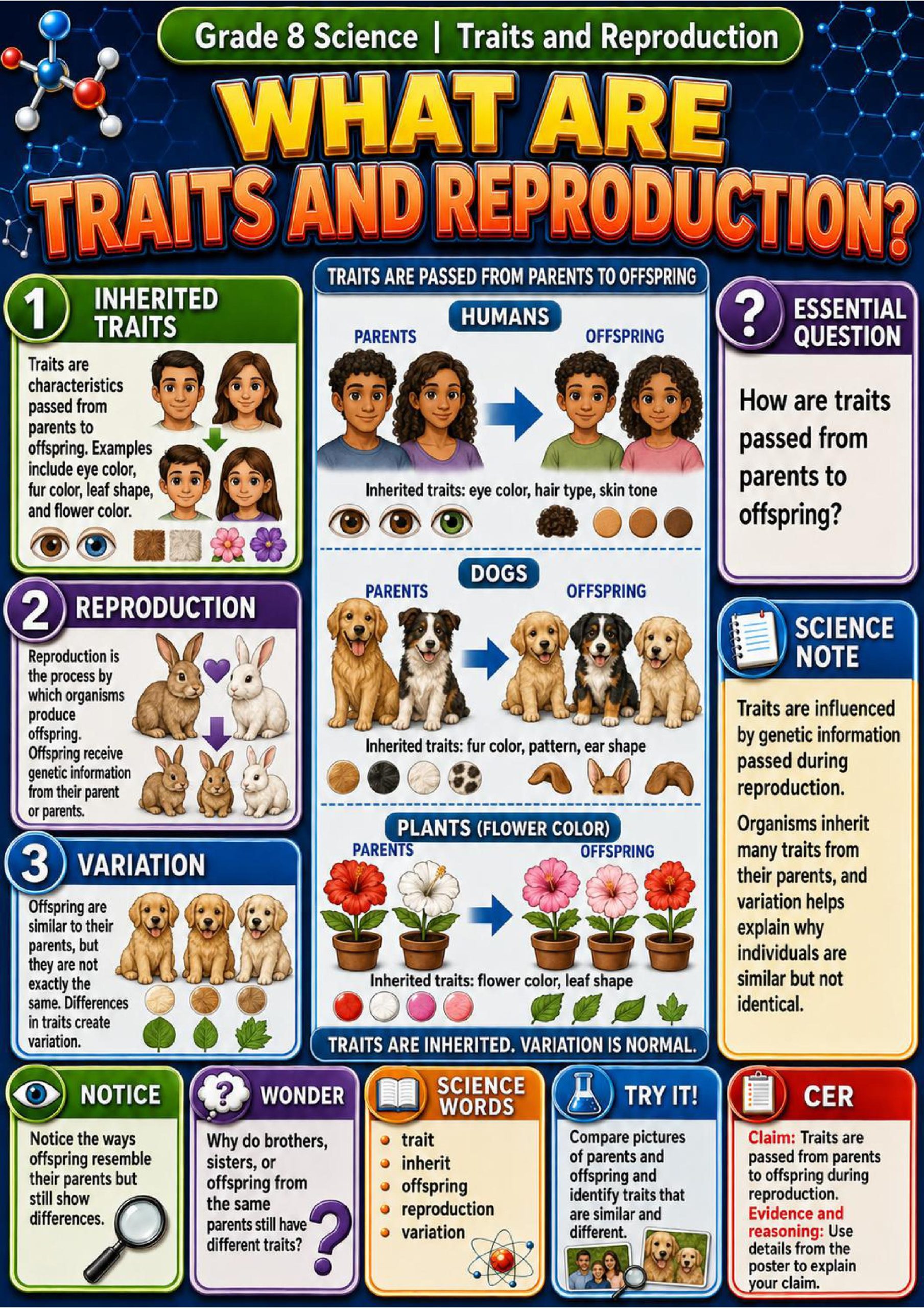Traits and Reproduction Phenomena Poster Set
