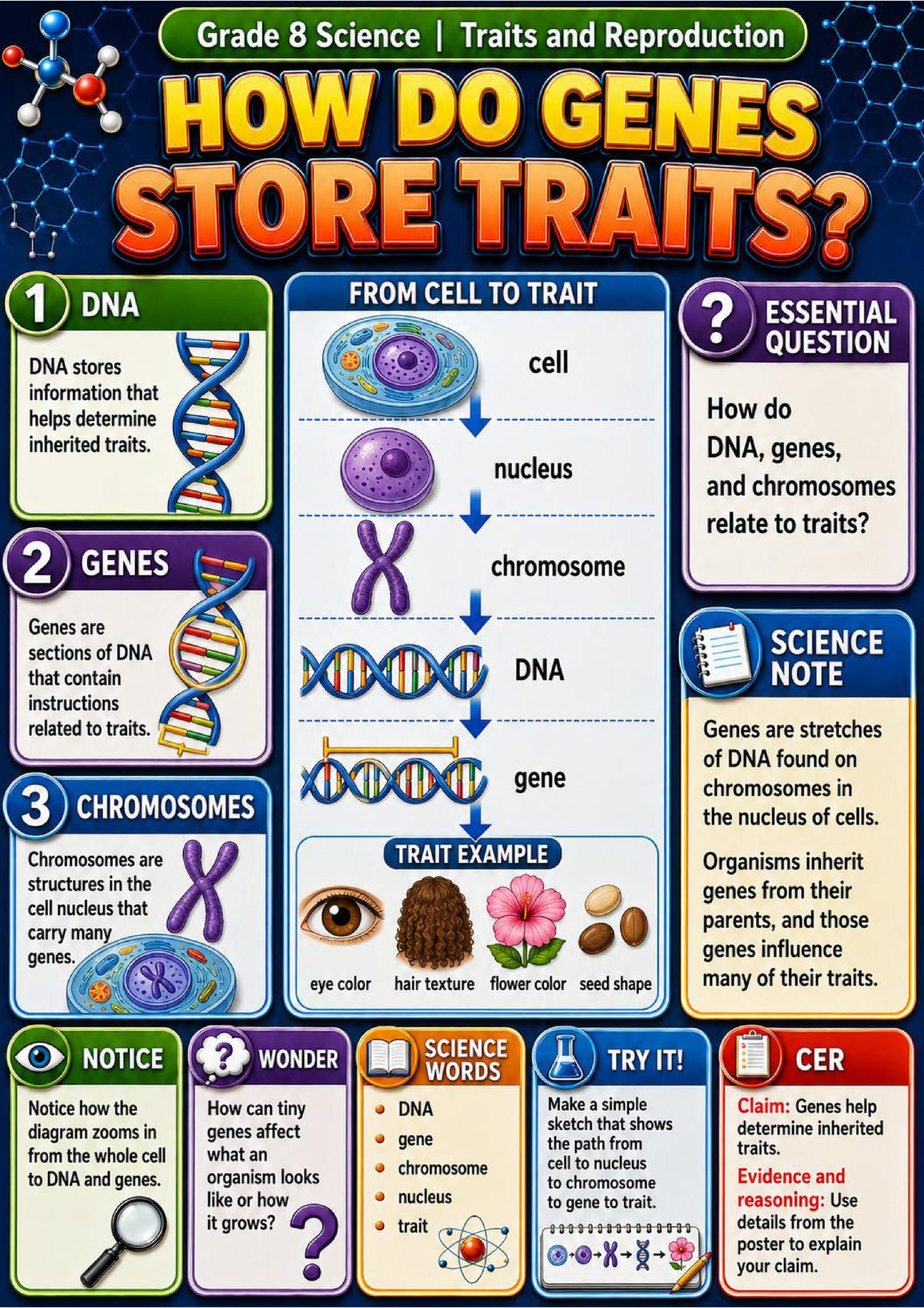 Traits and Reproduction Phenomena Poster Set