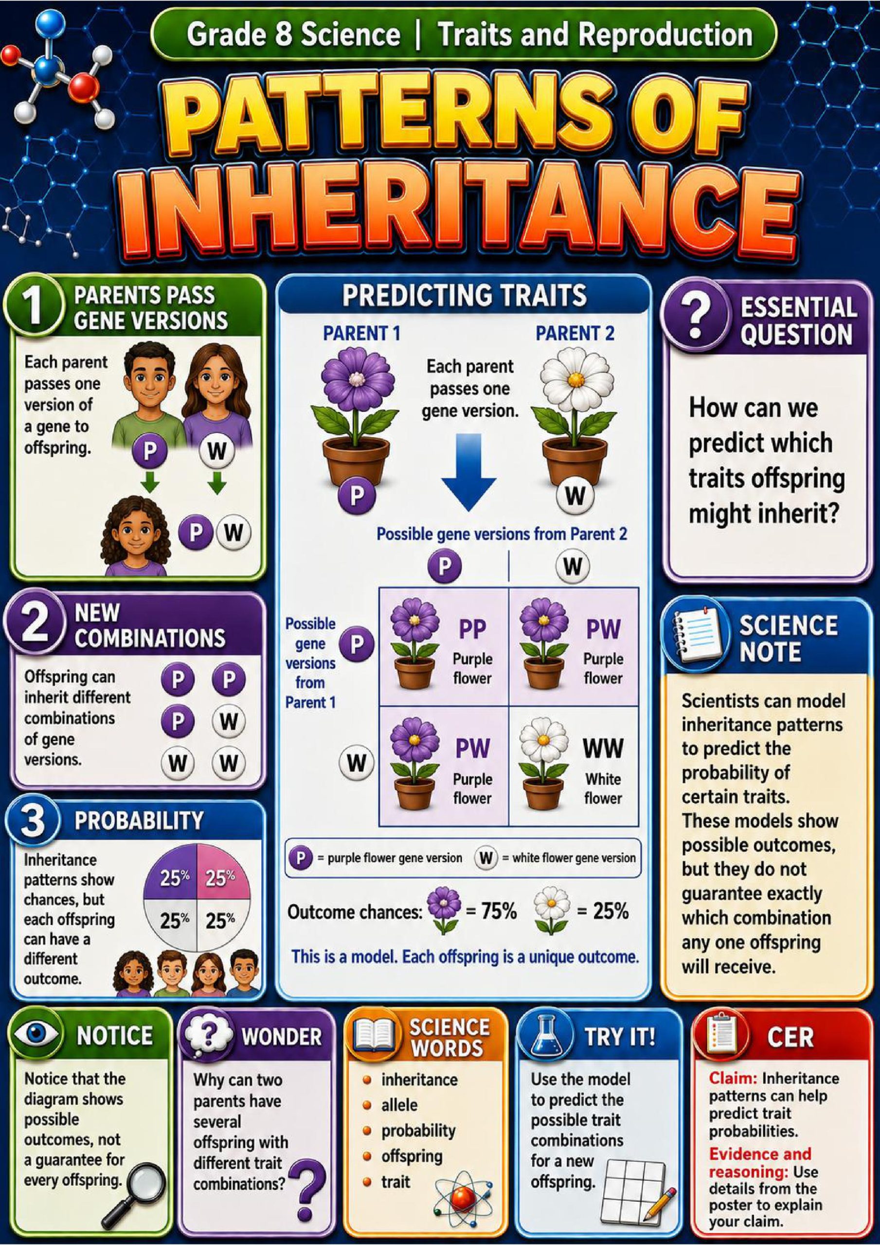 Traits and Reproduction Phenomena Poster Set